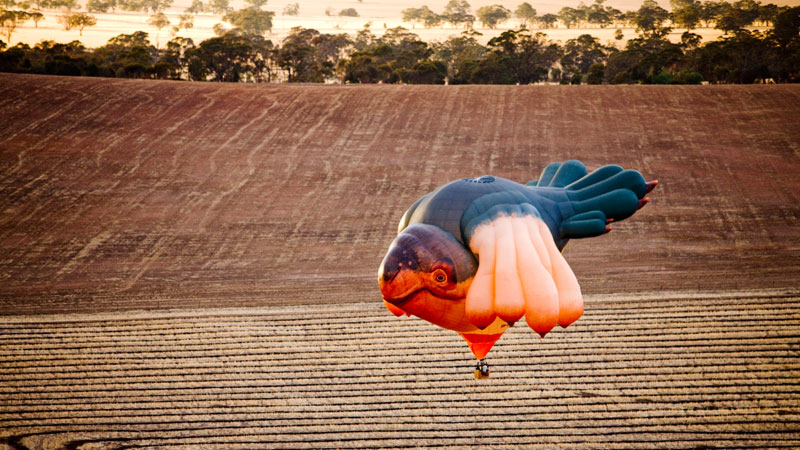 Carousel Image number 12