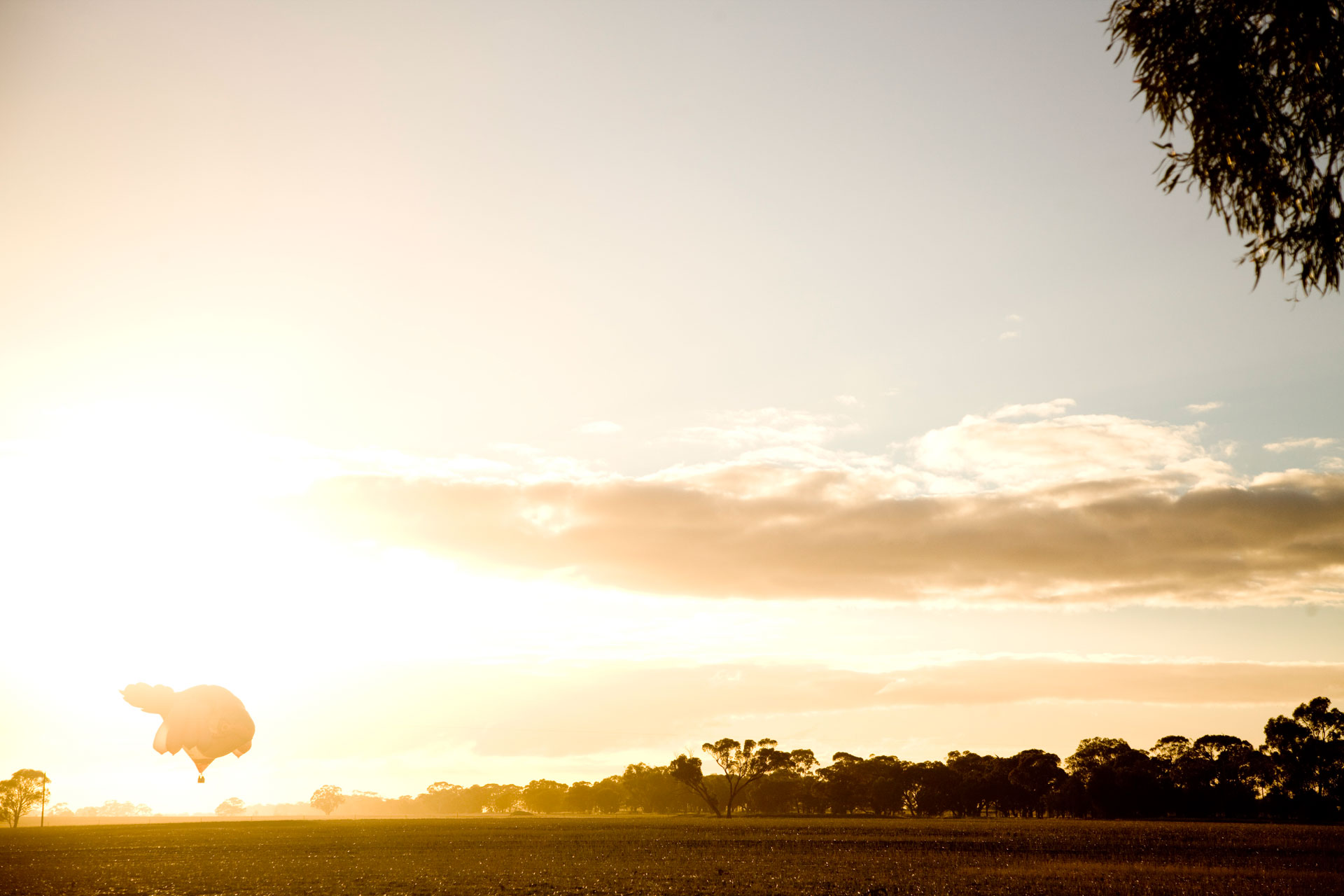 Carousel Image number 17