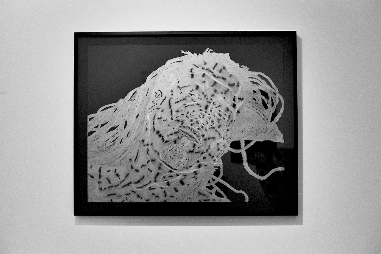 Carousel Image number 20