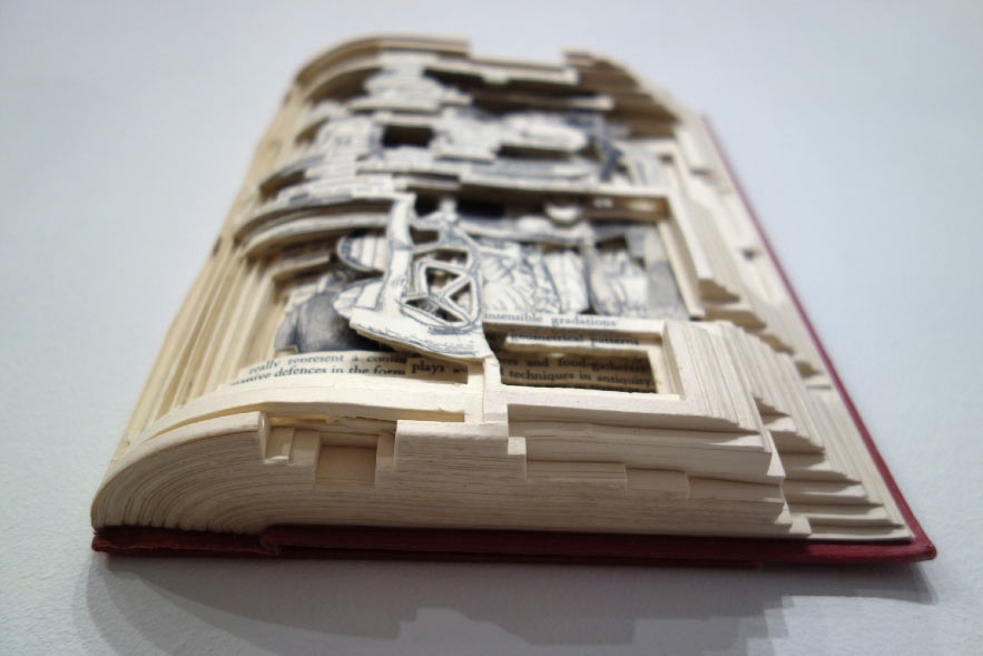 Carousel Image number 5