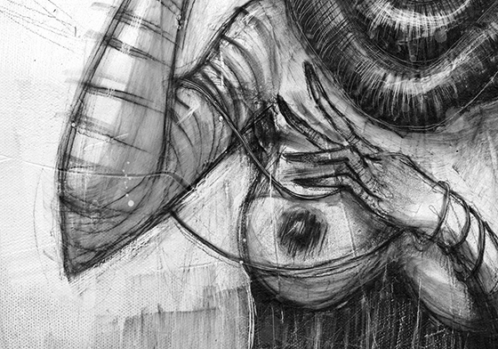 Carousel Image number 3