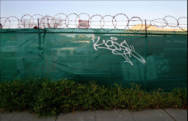 Carousel Image number 22