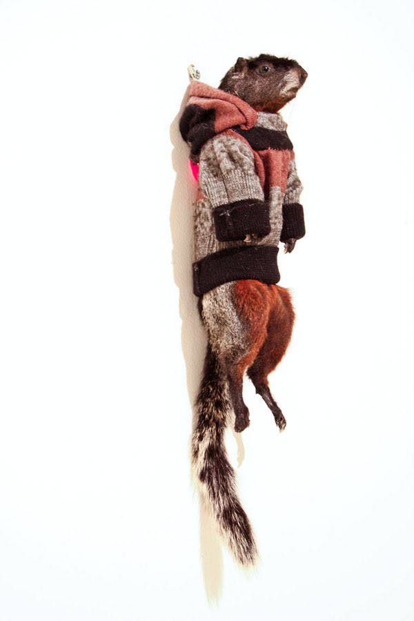 Carousel Image number 2