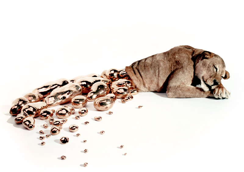 Carousel Image number 3