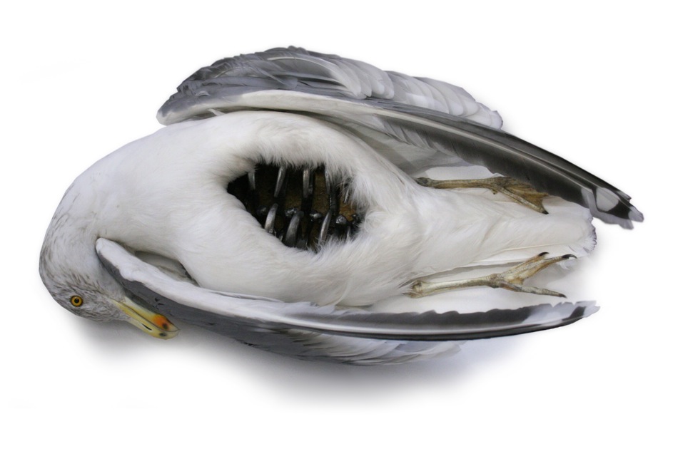 Carousel Image number 6