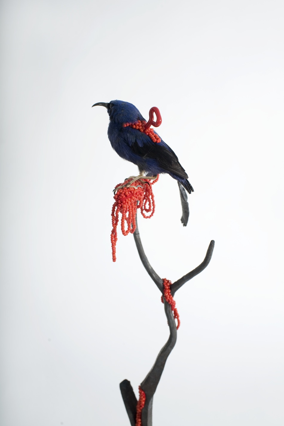 Carousel Image number 9