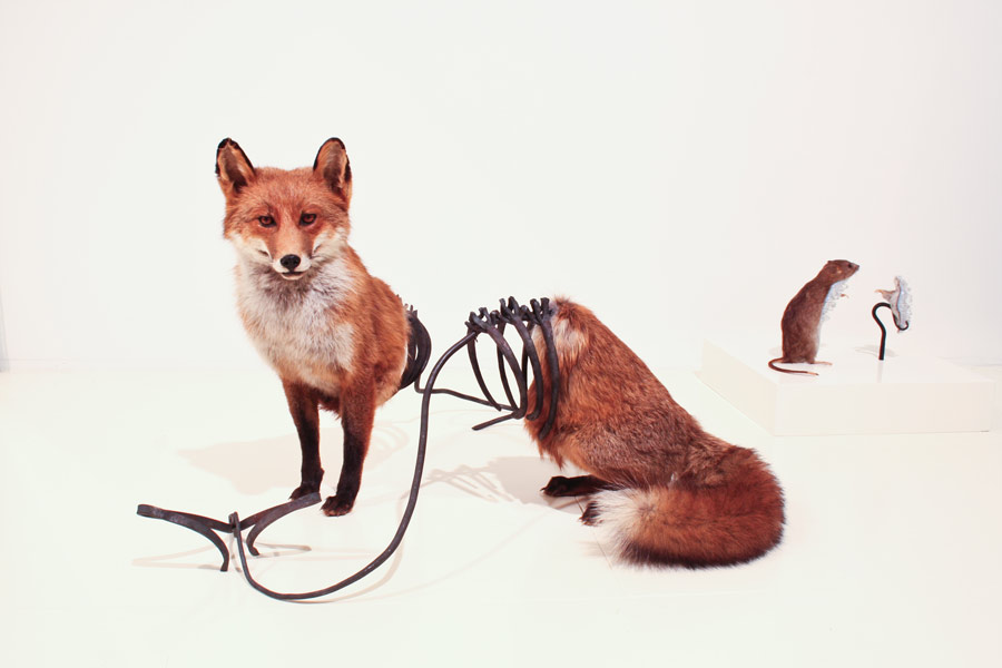 Carousel Image number 10