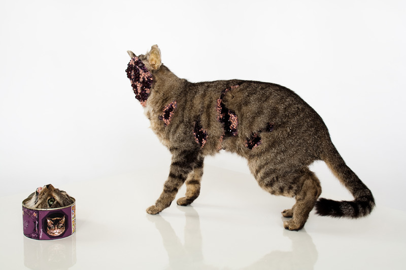 Carousel Image number 11