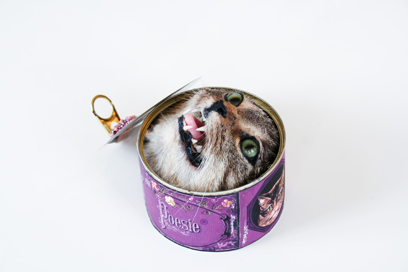 Carousel Image number 12