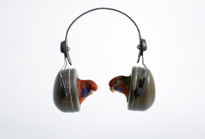 Carousel Image number 13