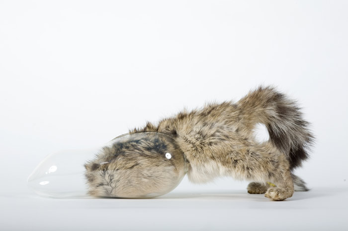 Carousel Image number 14