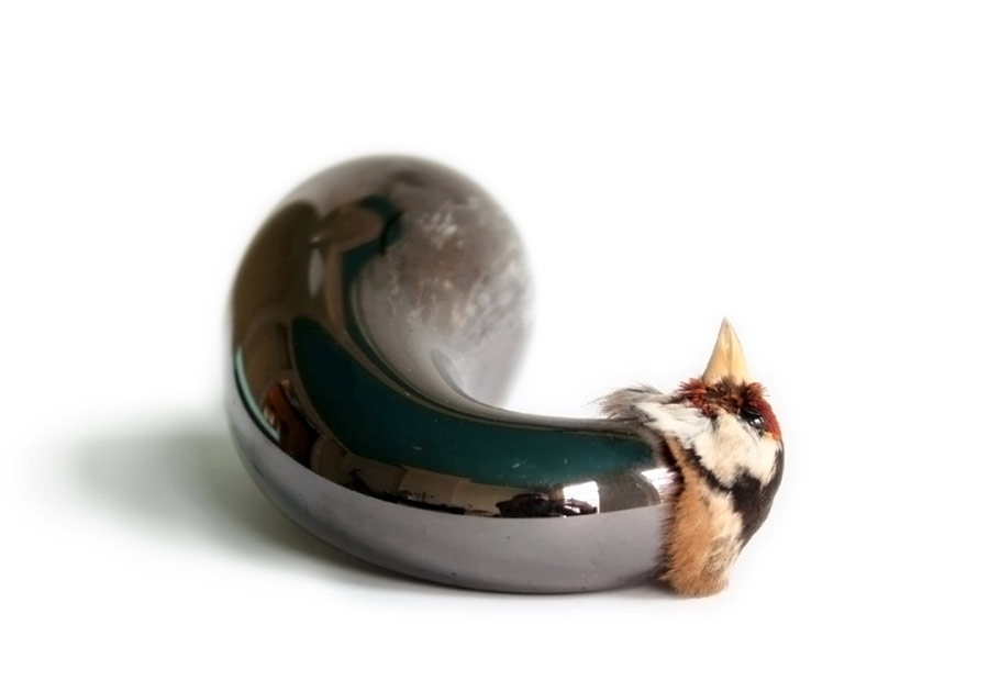 Carousel Image number 16