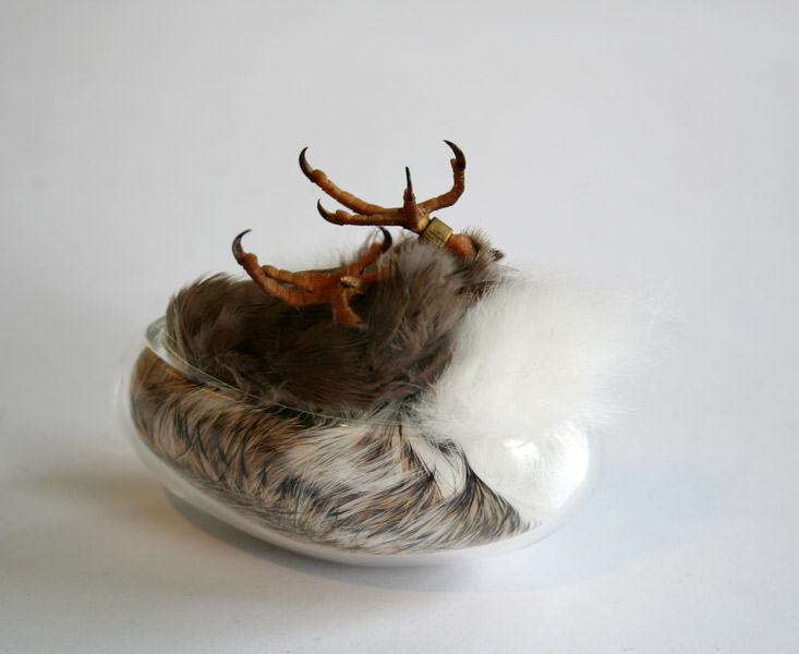 Carousel Image number 17