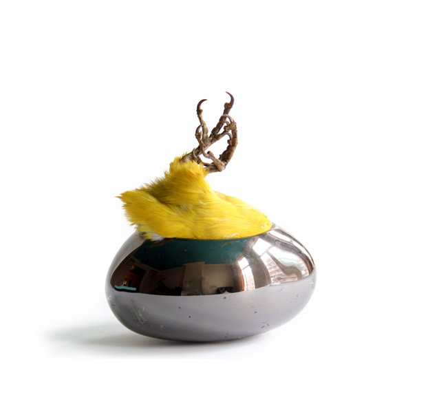 Carousel Image number 18