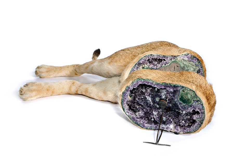 Carousel Image number 19