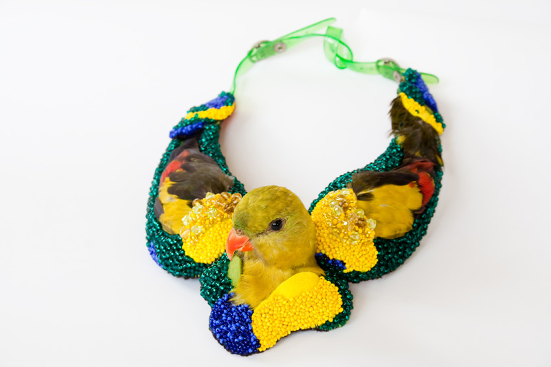 Carousel Image number 21