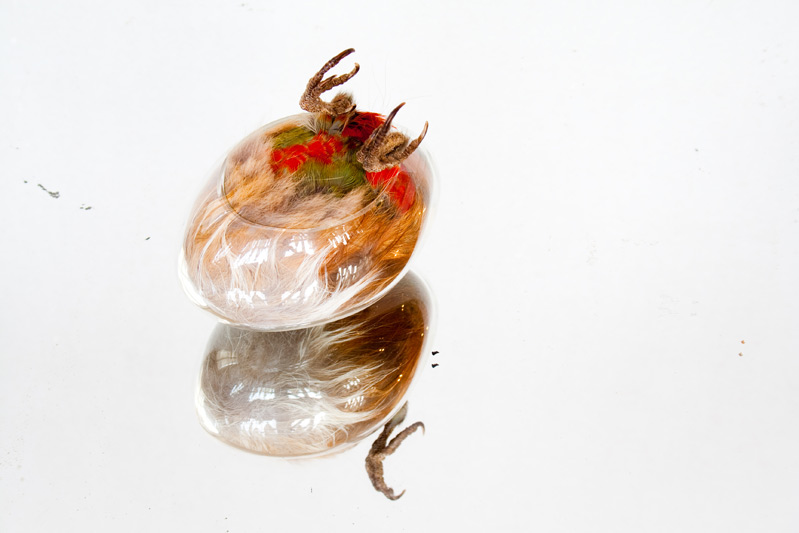 Carousel Image number 22