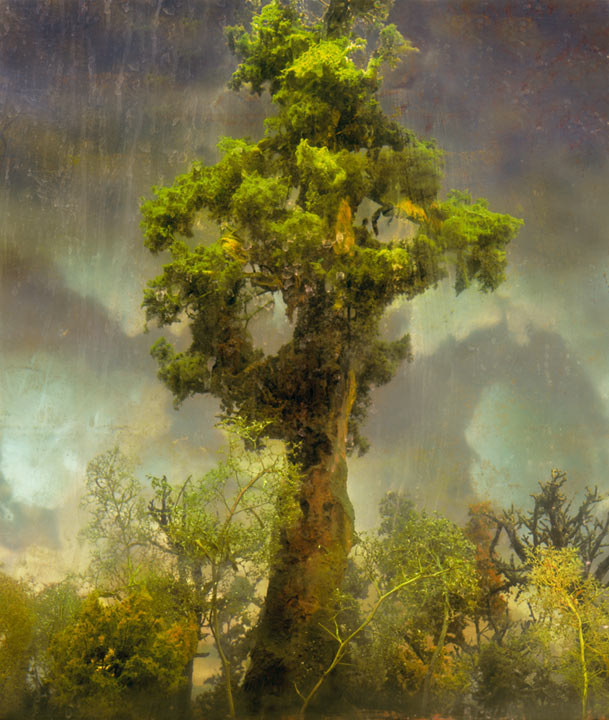 Carousel Image number 11