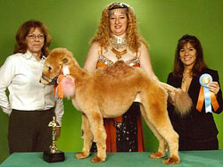Carousel Image number 13