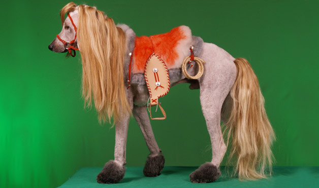 Carousel Image number 31