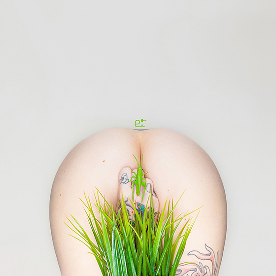 Carousel Image number 2