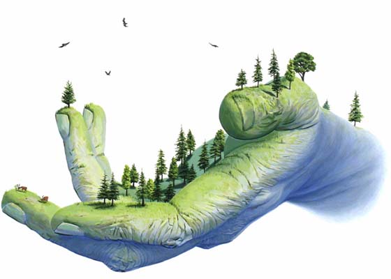 Carousel Image number 2