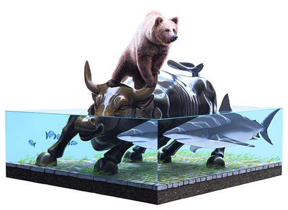 Carousel Image number 5