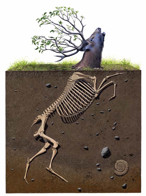 Carousel Image number 6