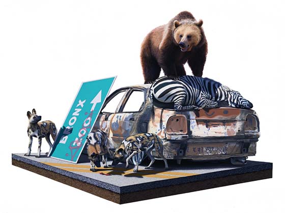 Carousel Image number 7