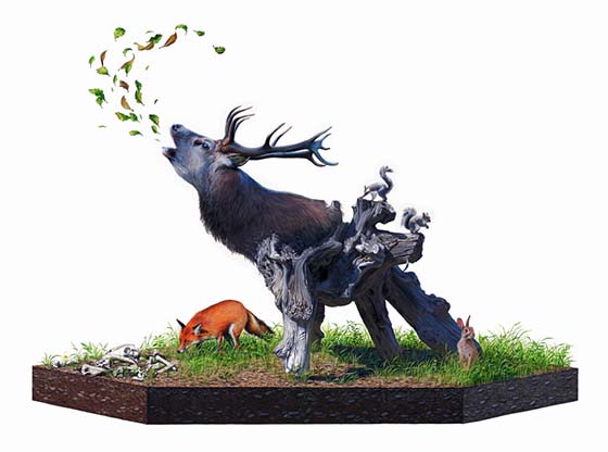 Carousel Image number 10