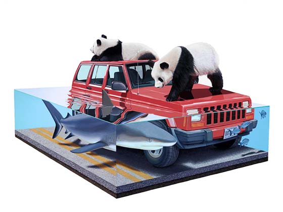 Carousel Image number 12