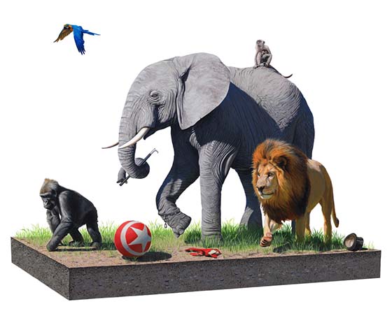 Carousel Image number 14