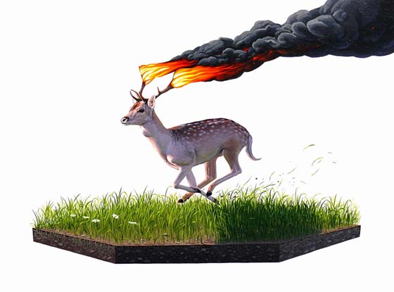 Carousel Image number 15