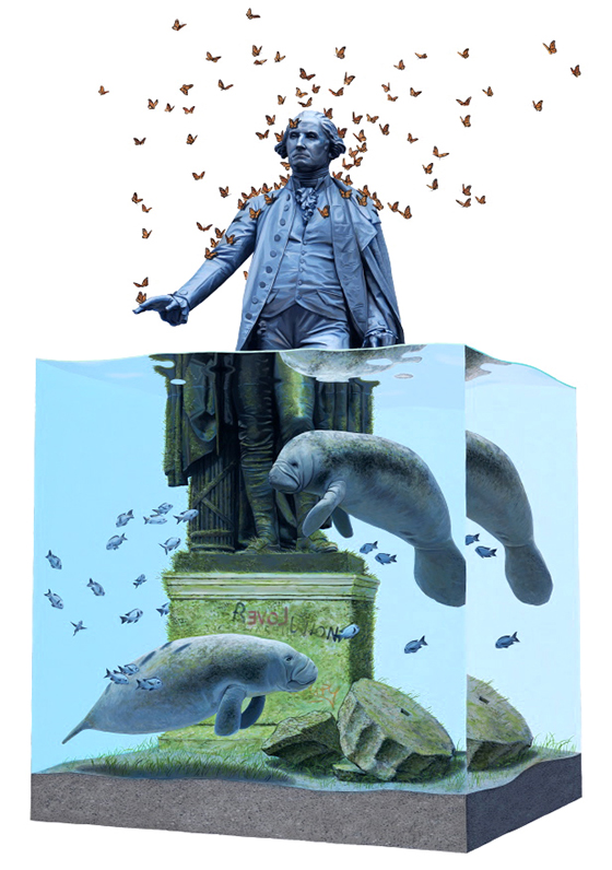 Carousel Image number 16