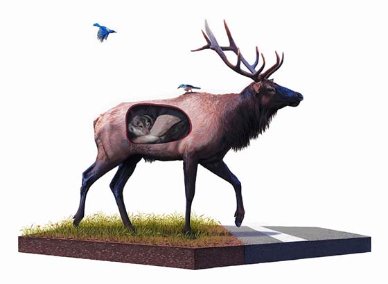 Carousel Image number 17