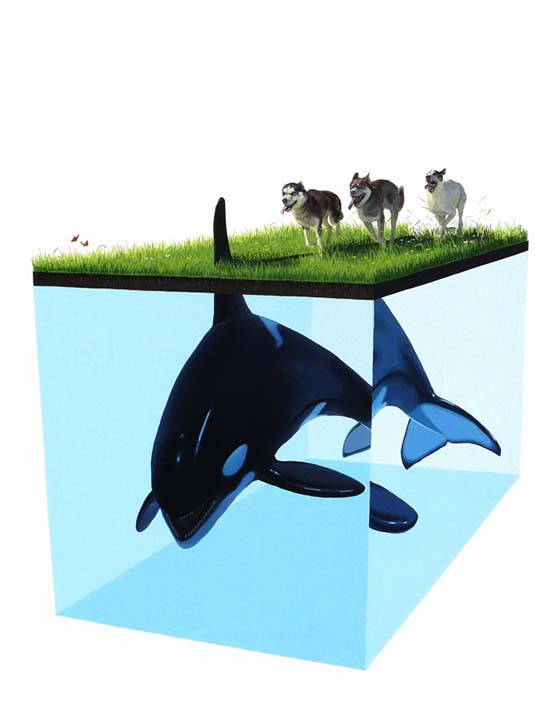 Carousel Image number 20