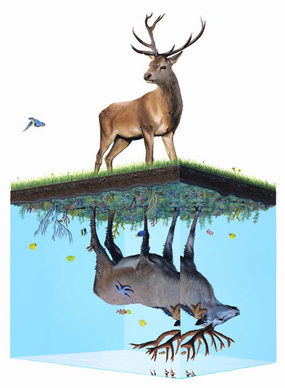 Carousel Image number 27