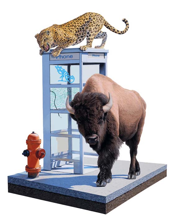 Carousel Image number 28