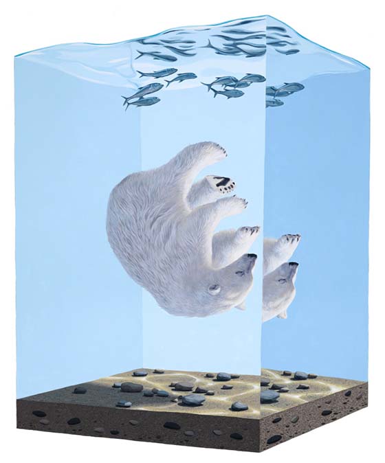 Carousel Image number 29