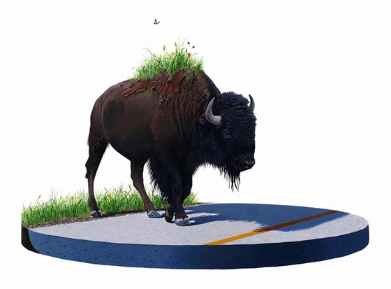 Carousel Image number 38