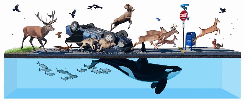 Carousel Image number 39