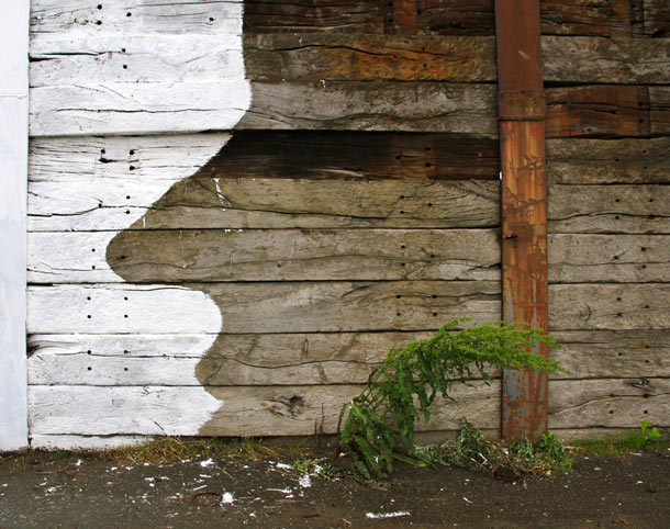 Carousel Image number 5