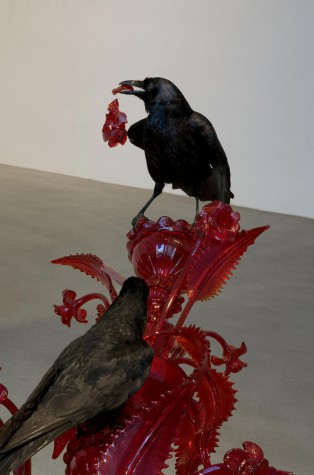 Carousel Image number 4