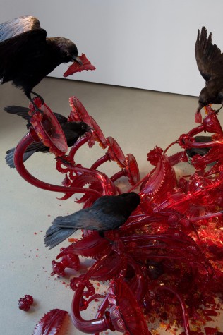 Carousel Image number 5