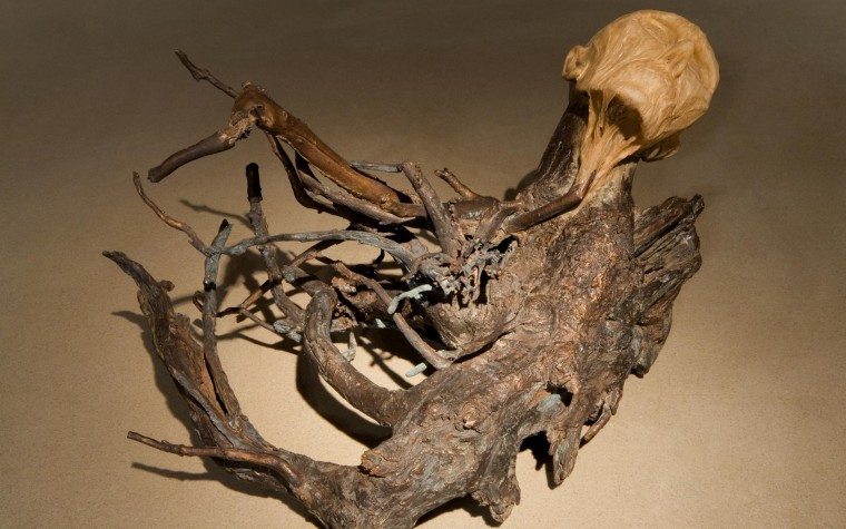 Carousel Image number 8