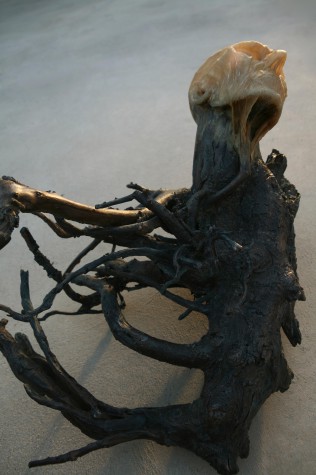 Carousel Image number 9