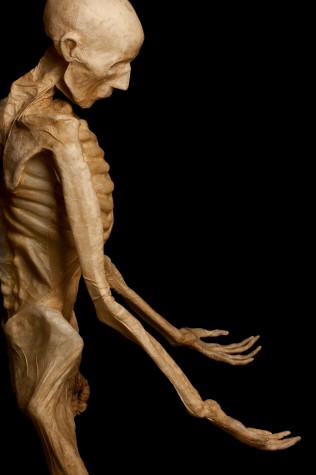 Carousel Image number 11