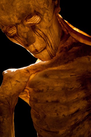 Carousel Image number 12