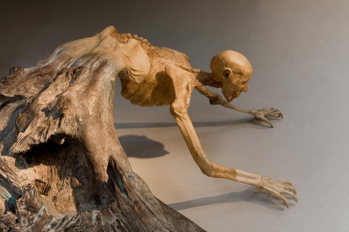 Carousel Image number 19