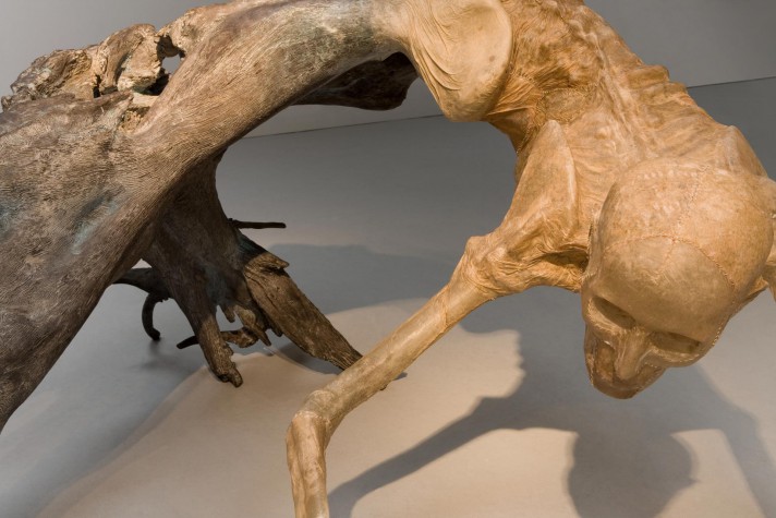 Carousel Image number 20